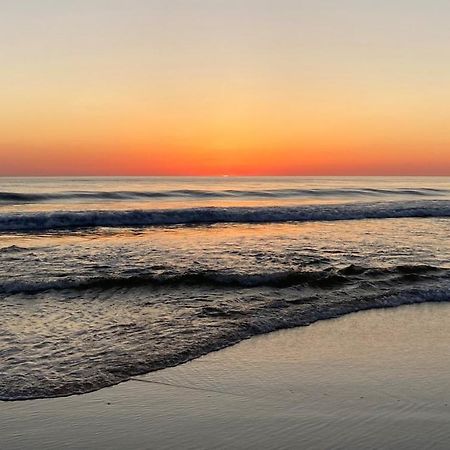 Palm Appart Biscarrosse-Plage Exteriér fotografie