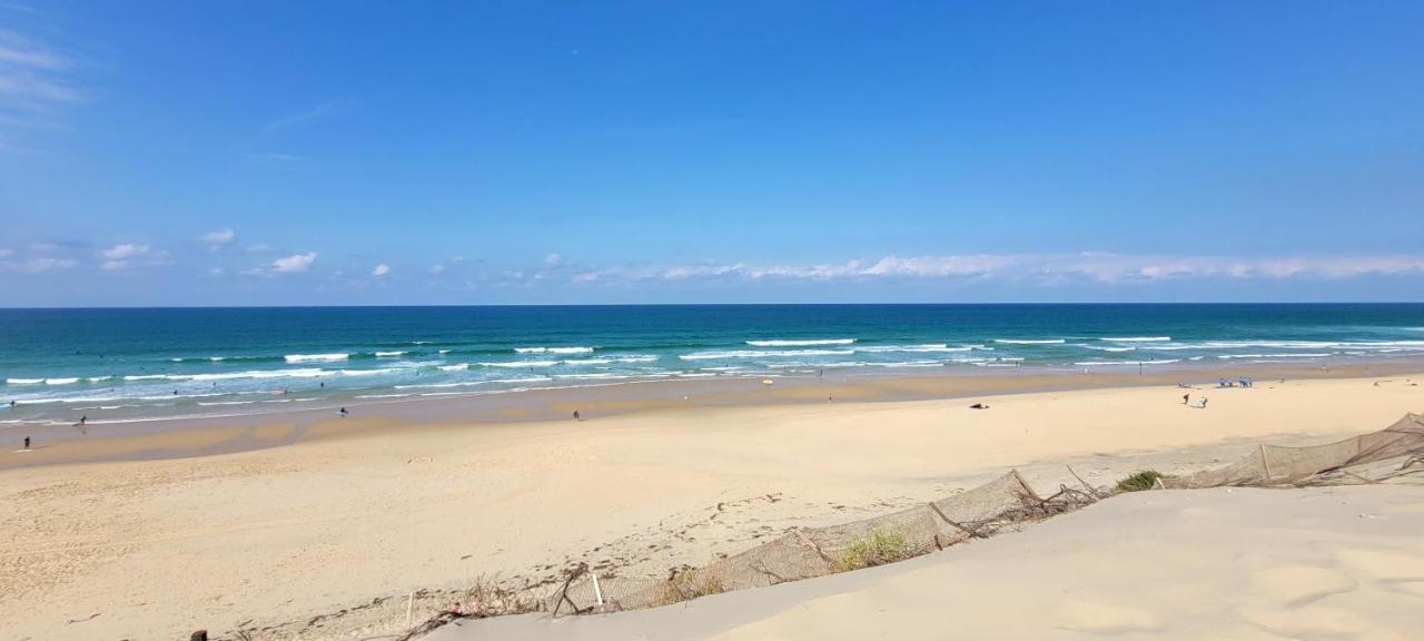 Palm Appart Biscarrosse-Plage Exteriér fotografie